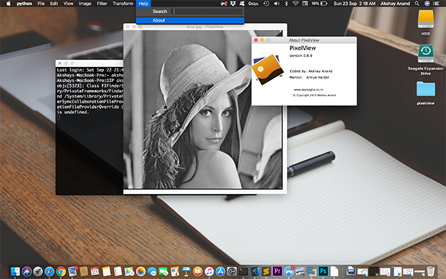 PixelView running on macOS